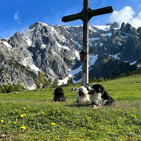 Apart Ursus Hinterthal Maria Alm am Steinernen Meer Exterior foto