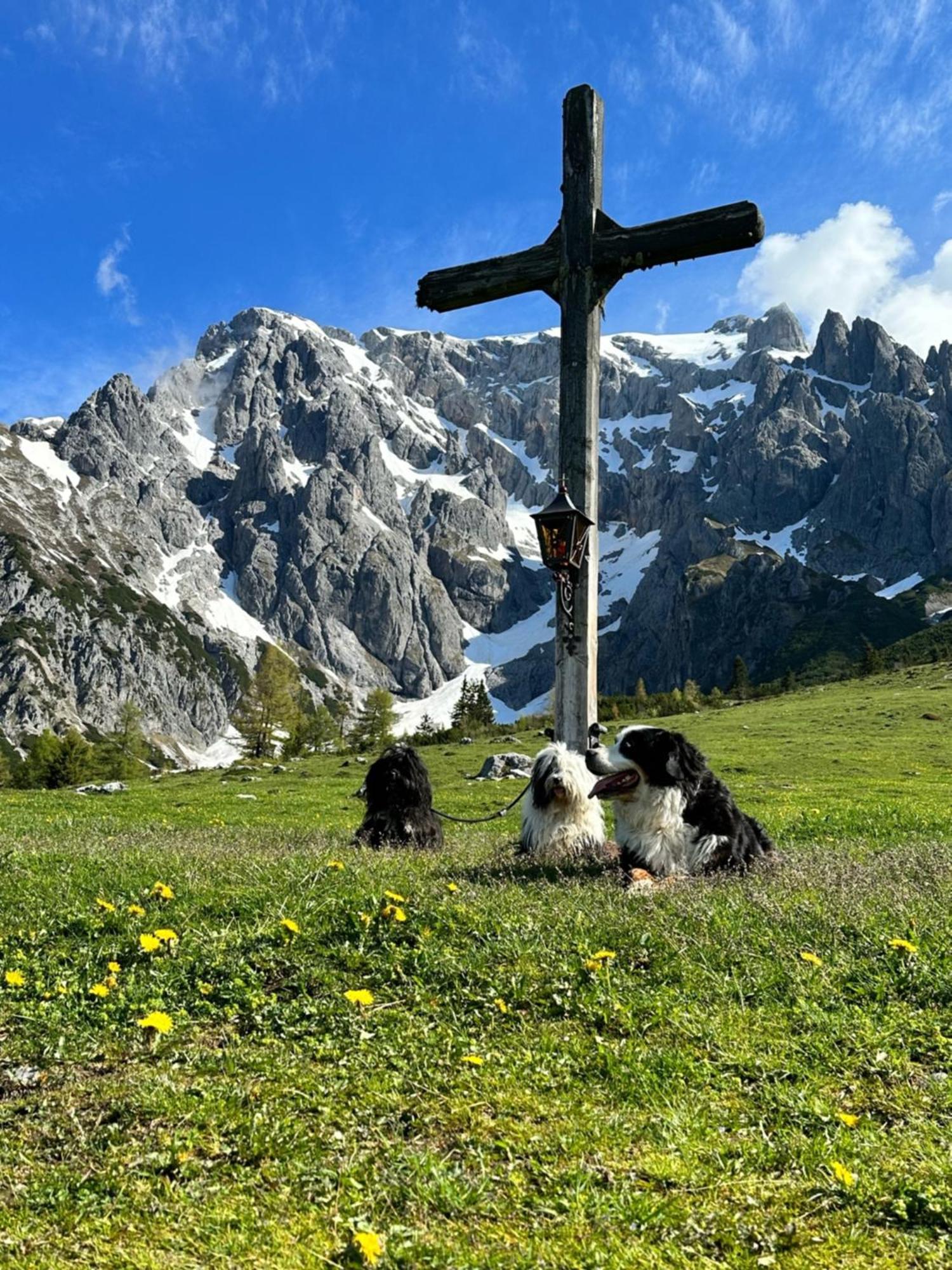 Apart Ursus Hinterthal Maria Alm am Steinernen Meer Exterior foto