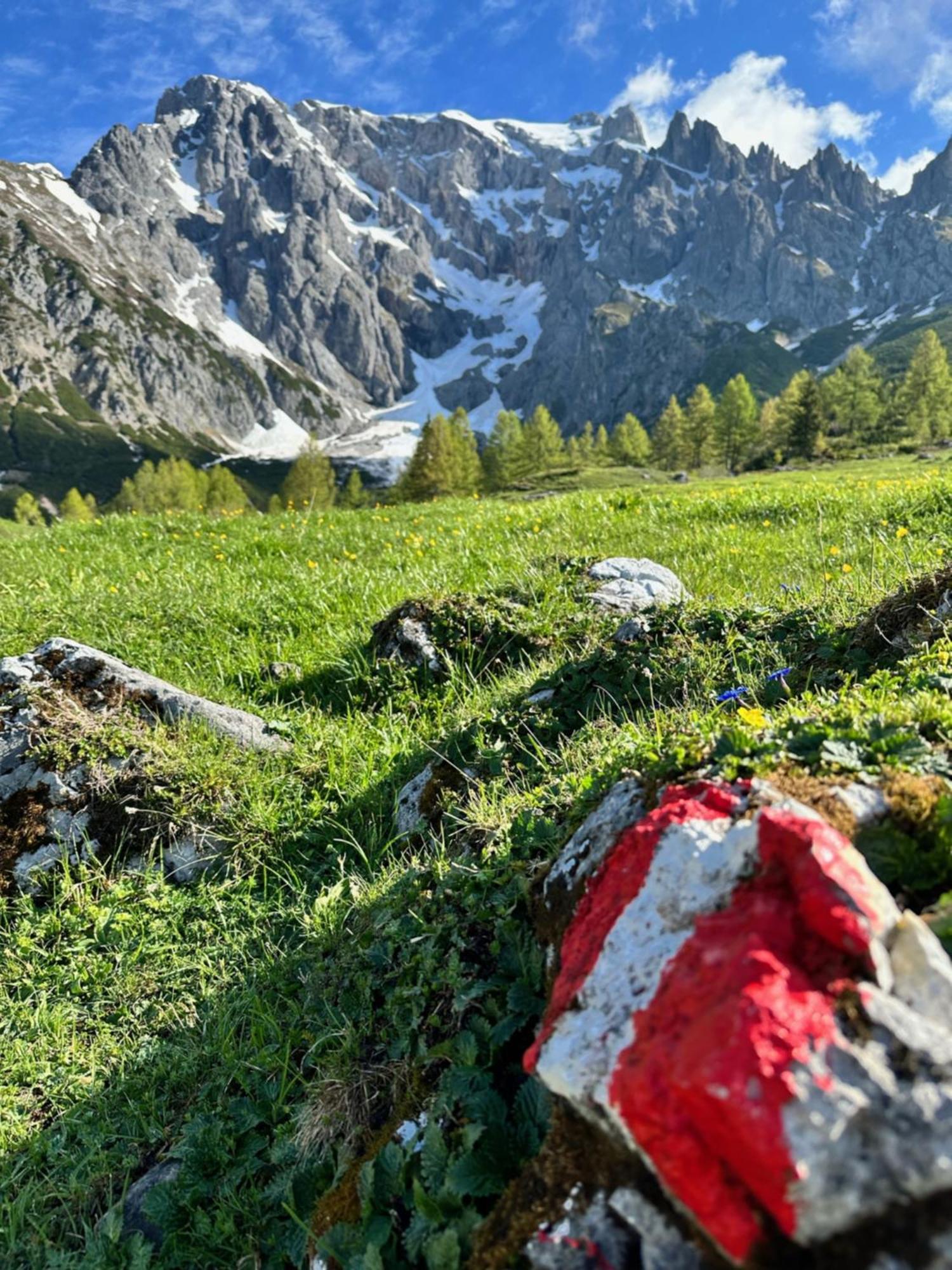 Apart Ursus Hinterthal Maria Alm am Steinernen Meer Exterior foto